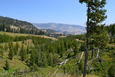 DSC_0336.JPG