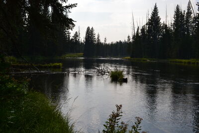 DSC_0338.JPG