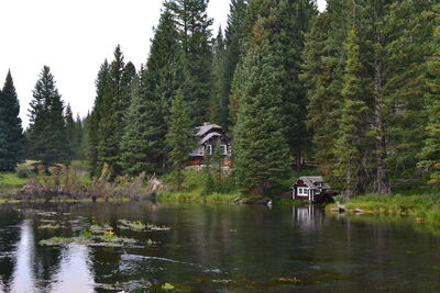 DSC_0343.JPG