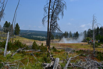 DSC_0355.JPG