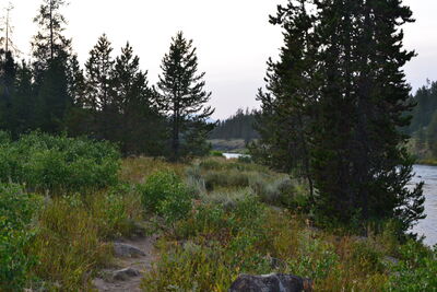 DSC_0370.JPG