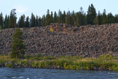 DSC_0371.JPG
