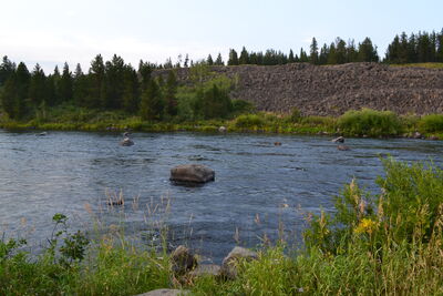 DSC_0374.JPG