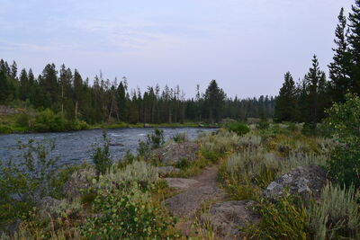 DSC_0375.JPG