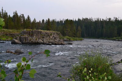 DSC_0376.JPG