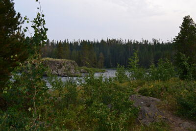 DSC_0377.JPG