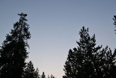 DSC_0380.JPG