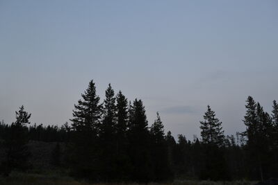 DSC_0381.JPG