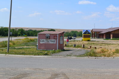 DSC_0383.JPG