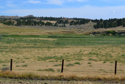 DSC_0386.JPG