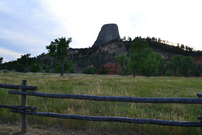 DSC_0399.JPG