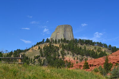 DSC_0407.JPG