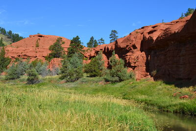 DSC_0408.JPG