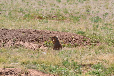 DSC_0411.JPG