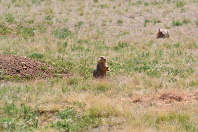 DSC_0412.JPG