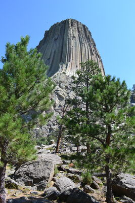 DSC_0420.JPG