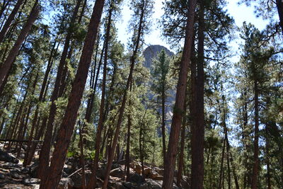 DSC_0429.JPG