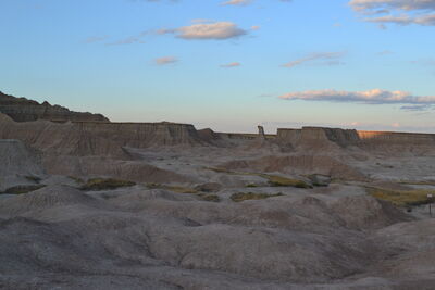 DSC_0446.JPG