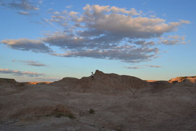 DSC_0448.JPG