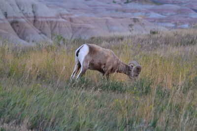 DSC_0455.JPG