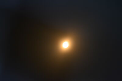 DSC_0471.JPG