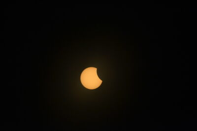 DSC_0474.JPG