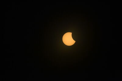 DSC_0478.JPG