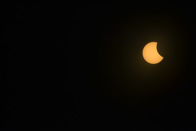 DSC_0480.JPG