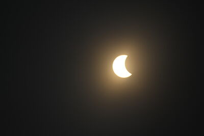 DSC_0485.JPG