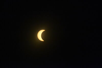 DSC_0491.JPG