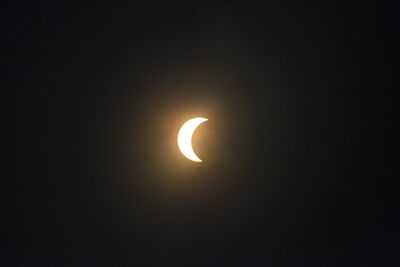 DSC_0492.JPG