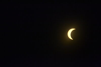 DSC_0494.JPG