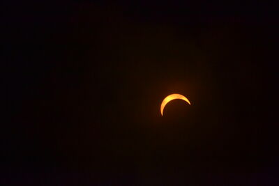 DSC_0501.JPG