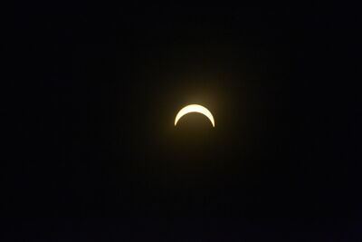 DSC_0505.JPG