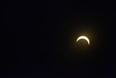 DSC_0506.JPG
