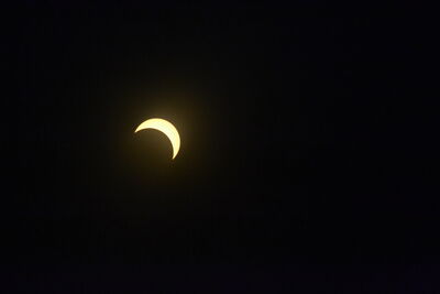 DSC_0509.JPG