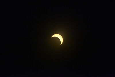 DSC_0510.JPG
