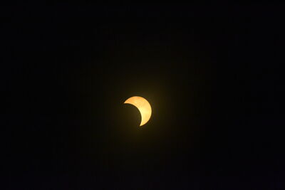 DSC_0511.JPG