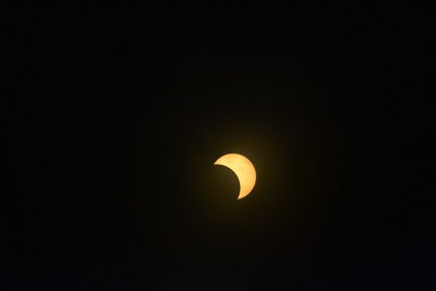 DSC_0512.JPG