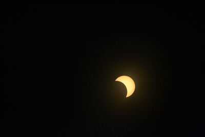 DSC_0513.JPG