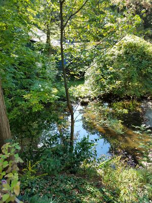 20170923_154800.jpg