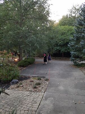 20170930_185207.jpg