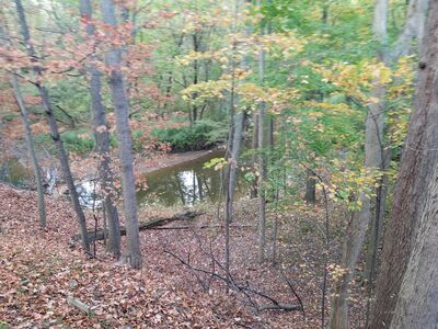20171013_175306.jpg