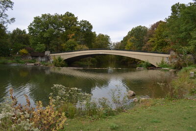 DSC_0578.JPG