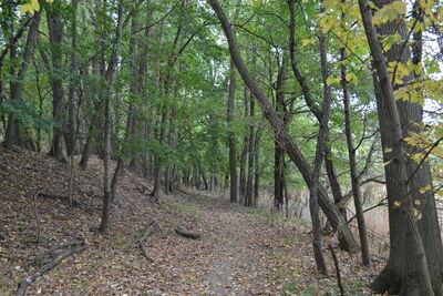 DSC_0579.JPG