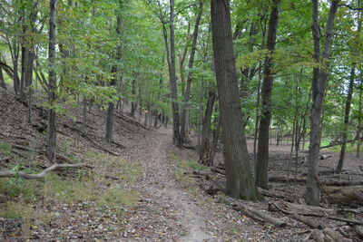 DSC_0580.JPG