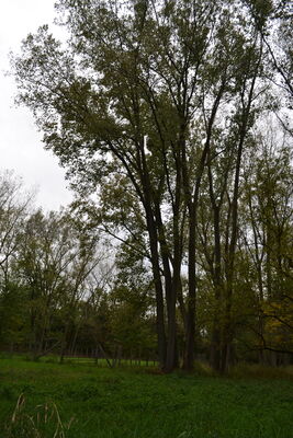 DSC_0583.JPG