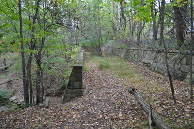 DSC_0584.JPG