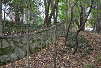 DSC_0585.JPG