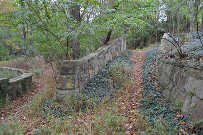 DSC_0586.JPG